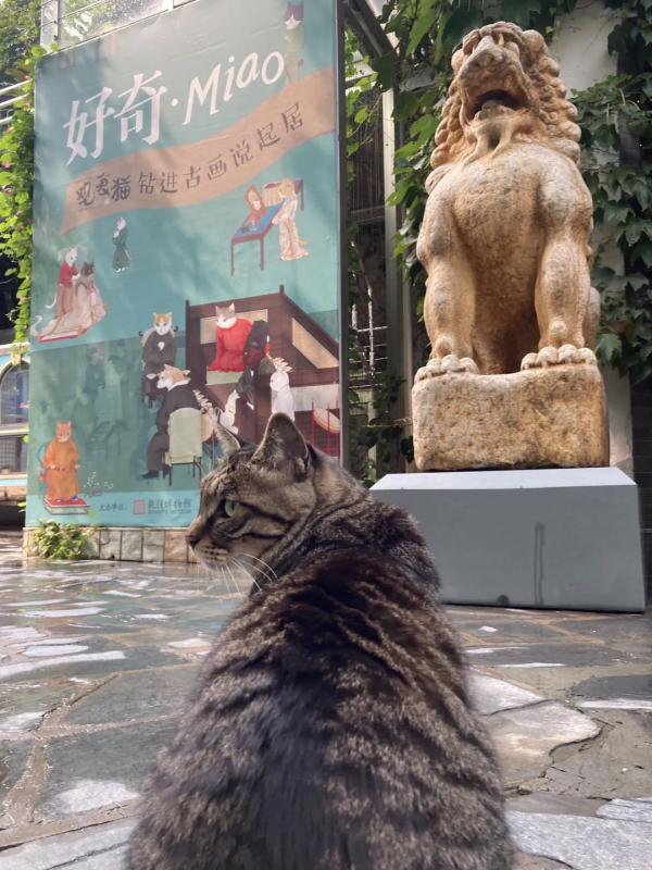 貓館長的守護神,是你嗎? 貓館長的守護神,是你嗎?