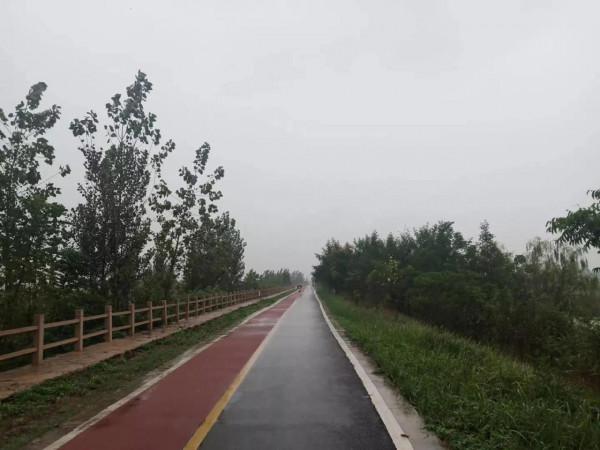 三汊河溼地公園遊記