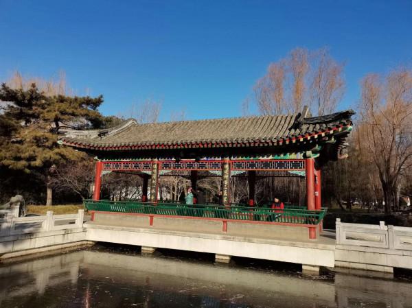 三位姥姥逛北京大觀園