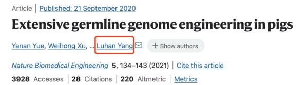 豬心移植人體的背後！川妹子學霸敲除豬致病基因，獲贊基因剪刀手