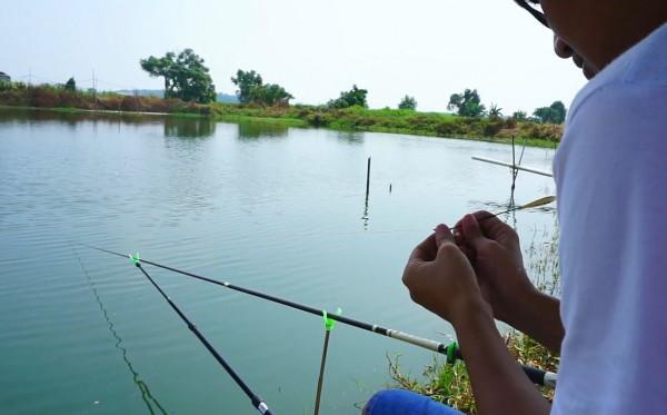 被人暗指不會釣鯽魚後，劉志強開始回擊鄧剛粉絲：我不去高價魚塘