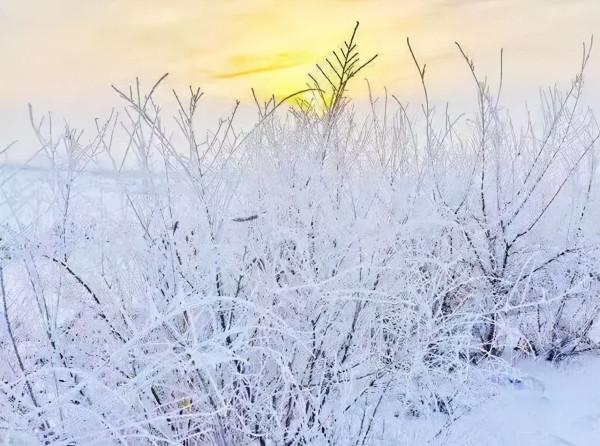 等疫情過去了，這11個最美的旅行地，我一定還要說走就走
