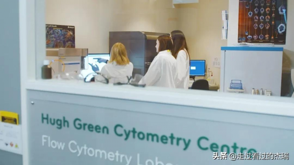 紐西蘭的“第三次分配”，富豪拖鞋50年不換，兒孫48年不碰遺產