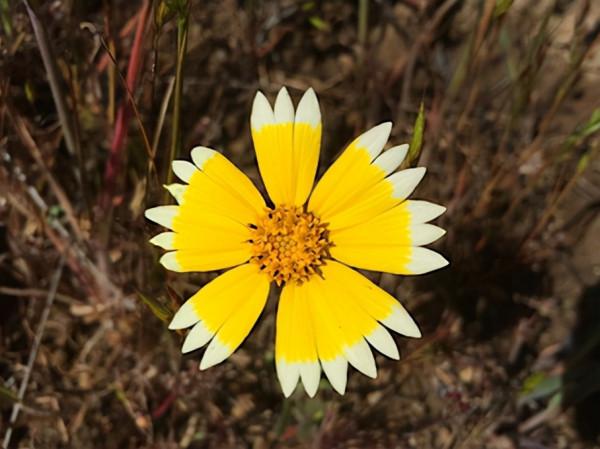 66張治癒強迫症的完美圖片，看完整個人都舒服了