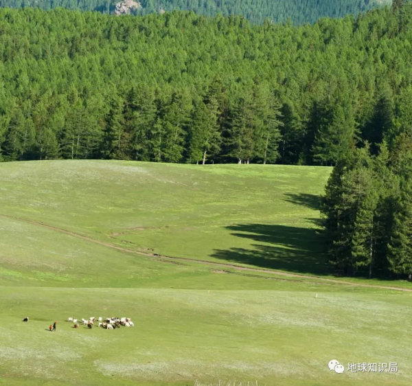 一文看懂，匈牙利究竟是不是匈奴後代？| 地球知識局