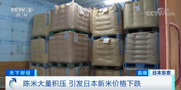 批發價跌幅達27%!唯一可以自給自足的糧食供需失衡,日本做出重要決定 批發價跌幅達27%!唯一可以自給自足的糧食供需失衡,日本做出重要決定