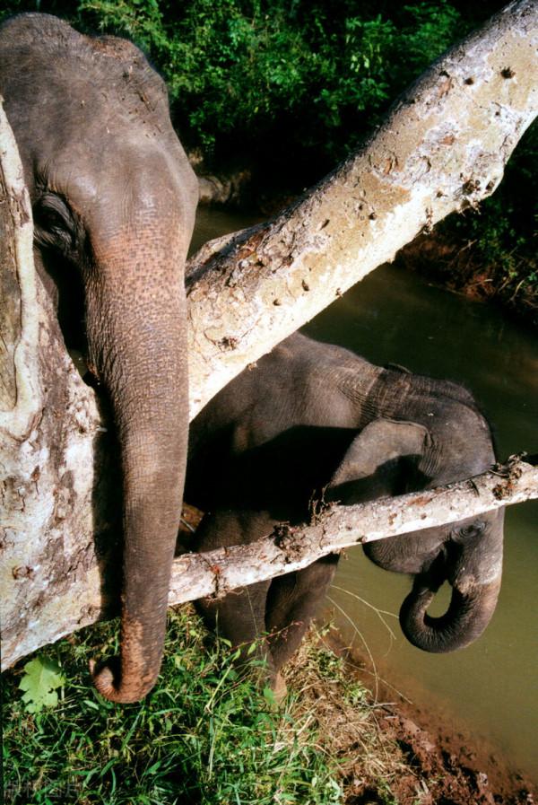 年度最佳旅行目的地!中國唯一上榜,這座養老小城照舊那麼美 年度最佳旅行目的地!中國唯一上榜,這座養老小城照舊那麼美
