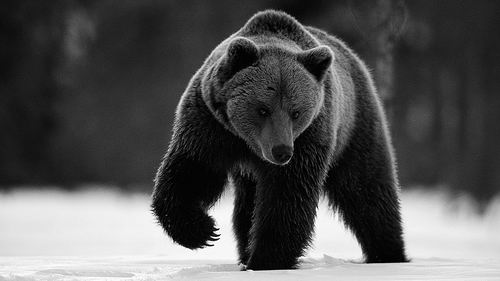 抗生素耐藥性早已蔓延至深山老林 抗生素耐藥性早已蔓延至深山老林