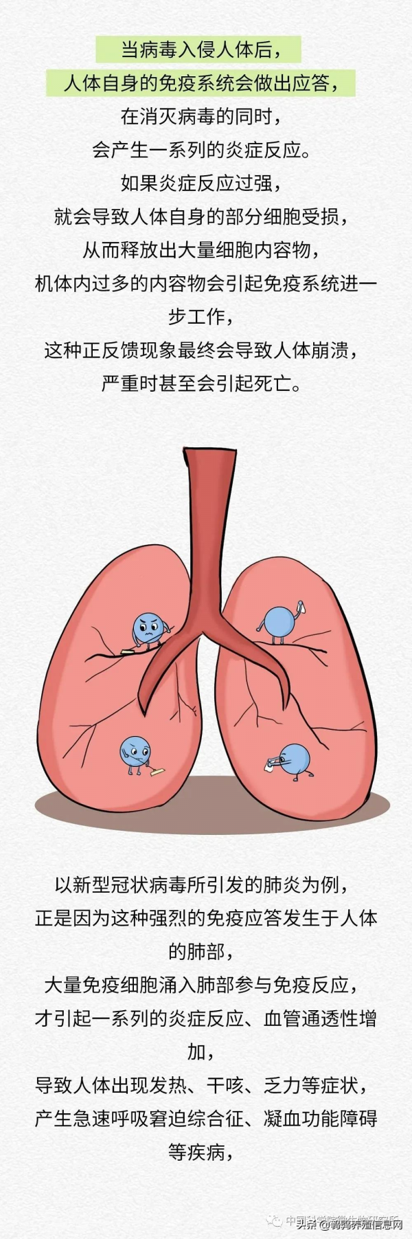 科普 | 病毒和細菌有什麼不同?(下集) 科普 | 病毒和細菌有什麼不同?(下集)