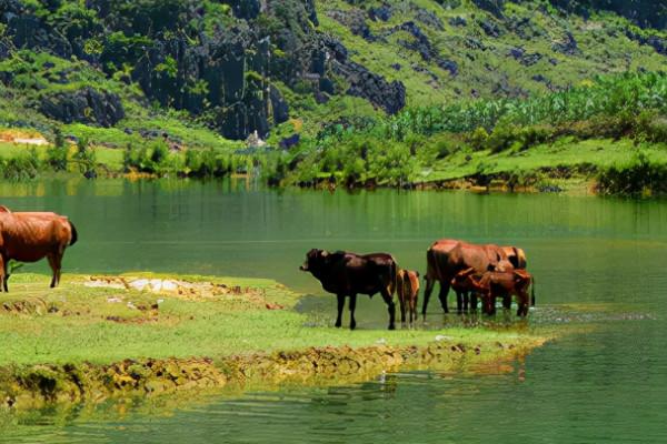 又火了!廣西有個“世外桃源”的景區,景美人少,千萬別錯過 又火了!廣西有個“世外桃源”的景區,景美人少,千萬別錯過