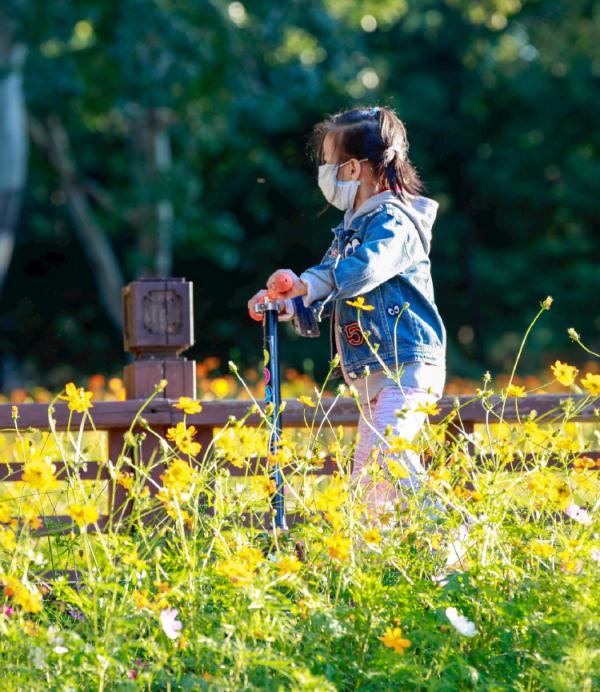 厲害!鳥類307種!喬灌木280種!北京這個公園生物真多 厲害!鳥類307種!喬灌木280種!北京這個公園生物真多