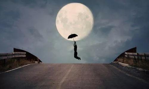 金虎之年人生氣運漫談