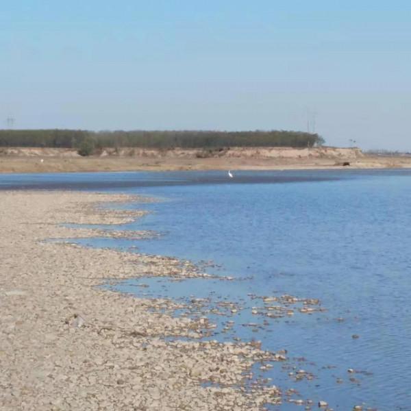 散文《穿越心的黑暗》 散文《穿越心的黑暗》