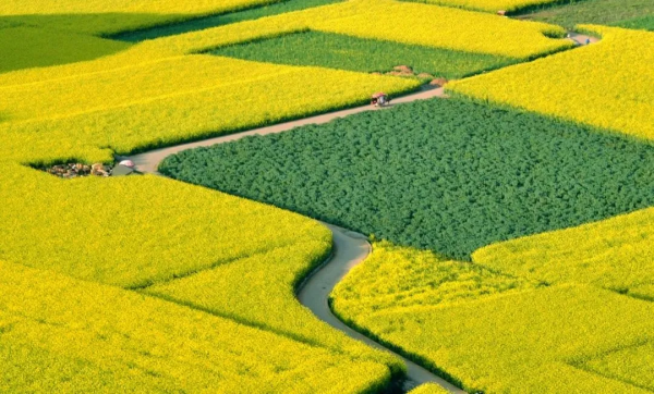 去過還想再去,滇東南到底有什麼魔力? 去過還想再去,滇東南到底有什麼魔力?