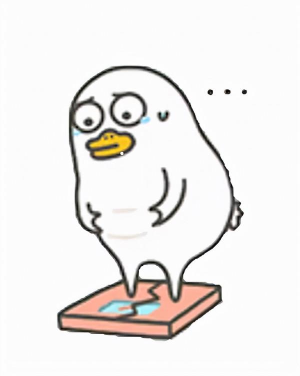 如何用管理諮詢的思維養寵物? 如何用管理諮詢的思維養寵物?