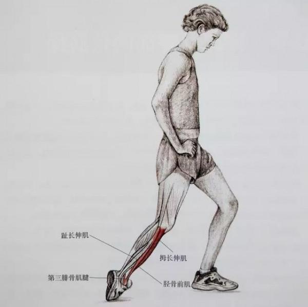 【全民健身】小腿又粗又硬？這套小腿拉伸法請收好！