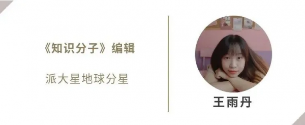 關於海鷗蠢不蠢的問題，研究有了新的證據……