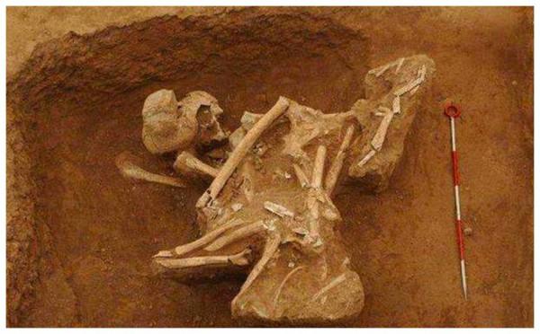 秦始皇女兒墓出土，墓中場景令人揪心，專家：胡亥太狠了