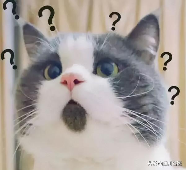 經常頭暈噁心,就是頸椎出了問題?眼睛:還可能是因為我… 經常頭暈噁心,就是頸椎出了問題?眼睛:還可能是因為我…