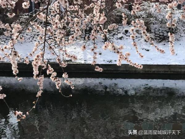 京城踏青，春花浪漫：北京春天賞花攻略之桃花篇（親測、實用）