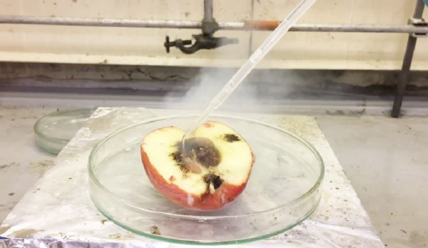 英國2歲男嬰誤吞紐扣電池，心臟被燒傷去世！小電池為何這麼毒？