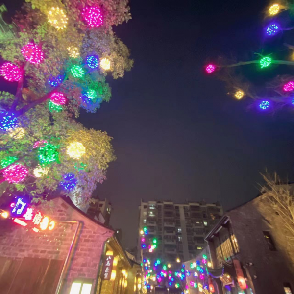 2022&period;1&period;29至1&period;31園園日記：梅花山探梅偶遇，報恩塔上走走