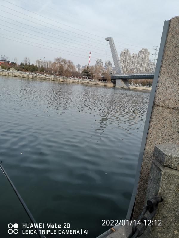 五個小時半碗淚水感動了水裡的精靈