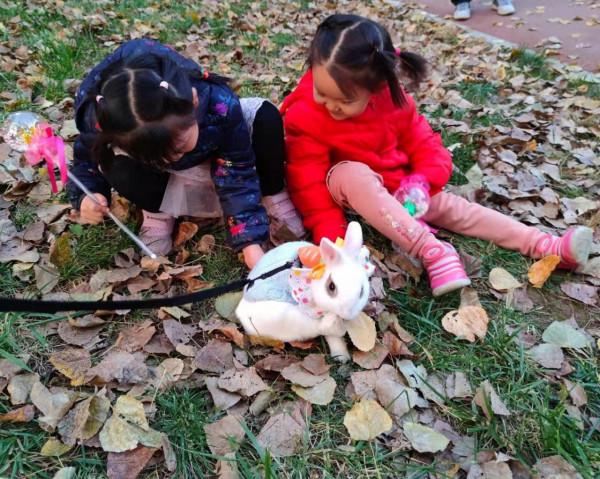 美目盼兮小精靈，疑為玉兔下凡間