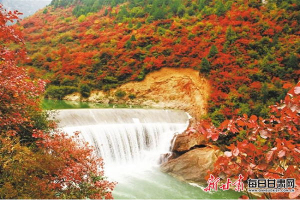 兩當紅葉：沉澱了春夏，輝煌了深秋