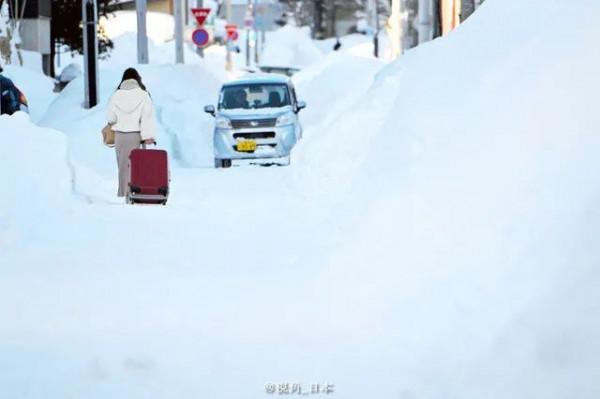 北海道札幌迎來罕見大雪 降雪量破紀錄 &amp&semi; 香川縣猴子抱團取暖