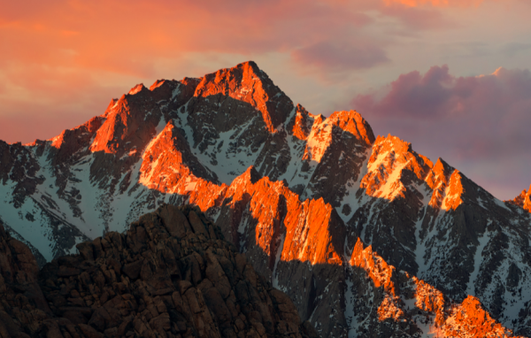 對於生活，不喜歡回頭，也不願將就的星座，為了夢想而活出真我