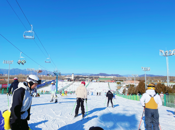 元旦去哪玩？賞花燈、看錶演、戲冰雪……