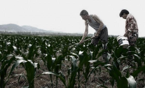 民間故事：農戶下地幹活，妻子打傷了一條蛇，三叔說，要道歉三年