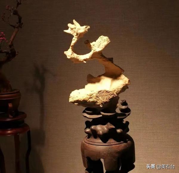 1997年,從山上揹回幾塊石頭,2016年,她敢用580萬買幾串筋脈石 1997年,從山上揹回幾塊石頭,2016年,她敢用580萬買幾串筋脈石