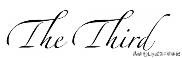 厚外套，今冬必備！太撩了