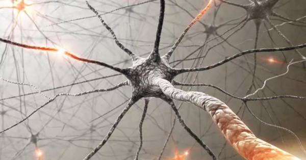 訓練中水裡摻什麼？亂喝的是徒弟，會喝的才是師傅