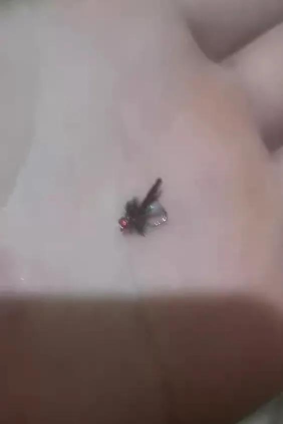 DIY路亞人，以最省的材料做工具