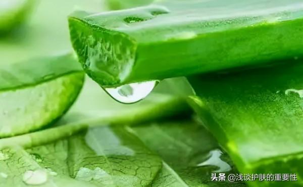 青春痘的“心路歷程”，一篇教你擺脫痘痘肌的煩惱