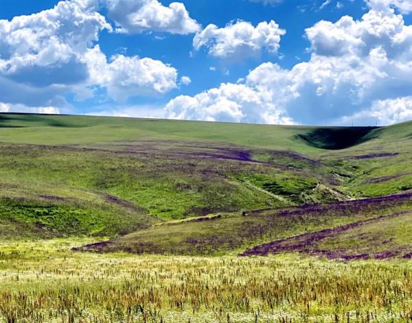 天山行之（二）空中草原託乎拉蘇