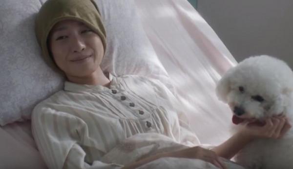 33歲乖乖女罹患癌症，隻身來小島度餘生：一本探尋生命真諦的小說