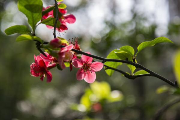 我為什麼不考公務員？