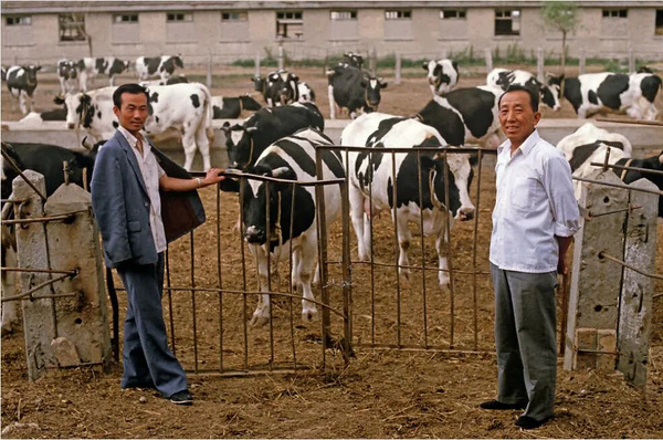 滿滿的感動，每一張老照片都是故事，美好的八十年代