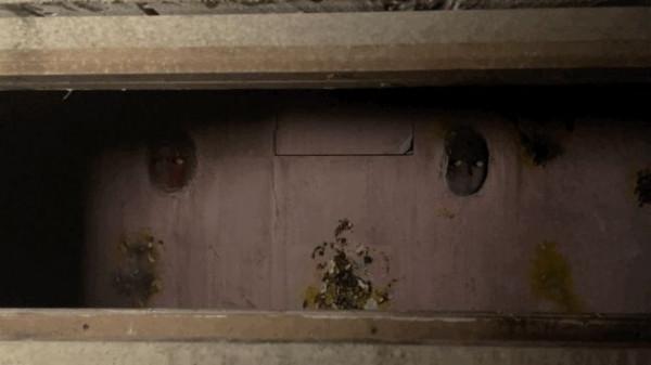 鵝噗測評丨無限迴廊:比NPC更可怕的,是自己嚇自己 鵝噗測評丨無限迴廊:比NPC更可怕的,是自己嚇自己