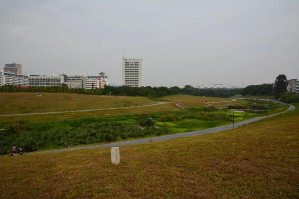 坪山印象（12）