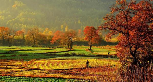 漫遊皖美秋色｜閱盡秋色，美在安徽