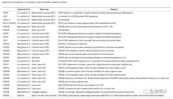 科研熱點來襲｜細胞焦亡