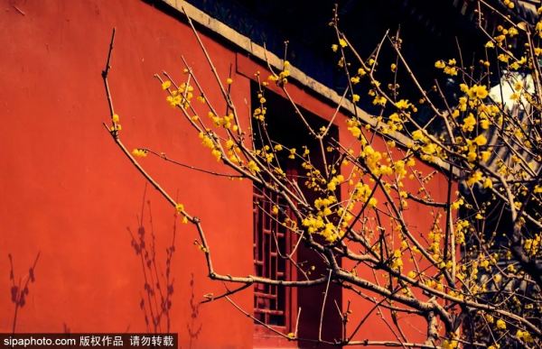 2021的最後這16天，這16件事超值得做！