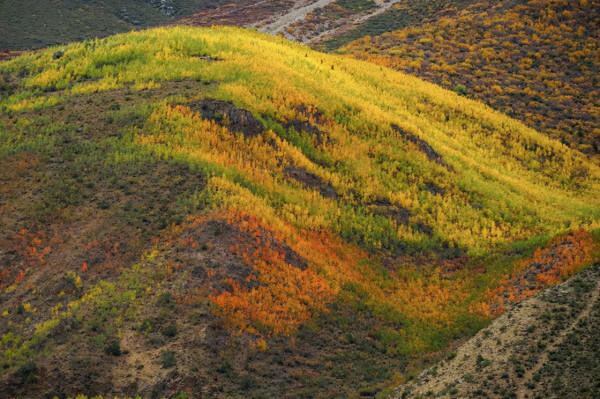 東達山埡口沒有停留，下山路邊拍了下高山草甸作留念