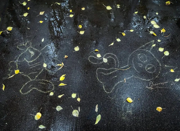 周運丨小巫12星座周運 （11/5～11/11）