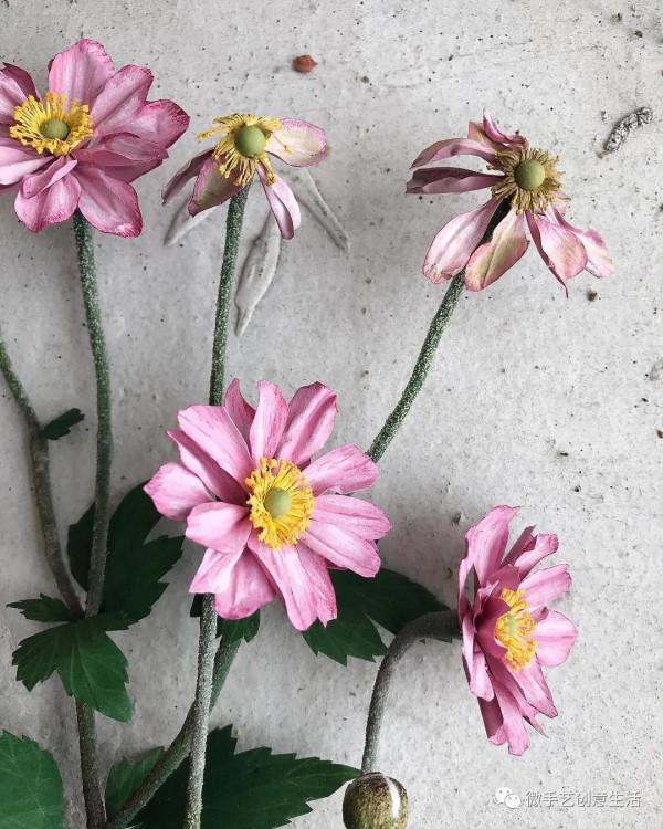 美國姑娘用紙還原了整個植物世界，逼真的讓人傻傻分不清